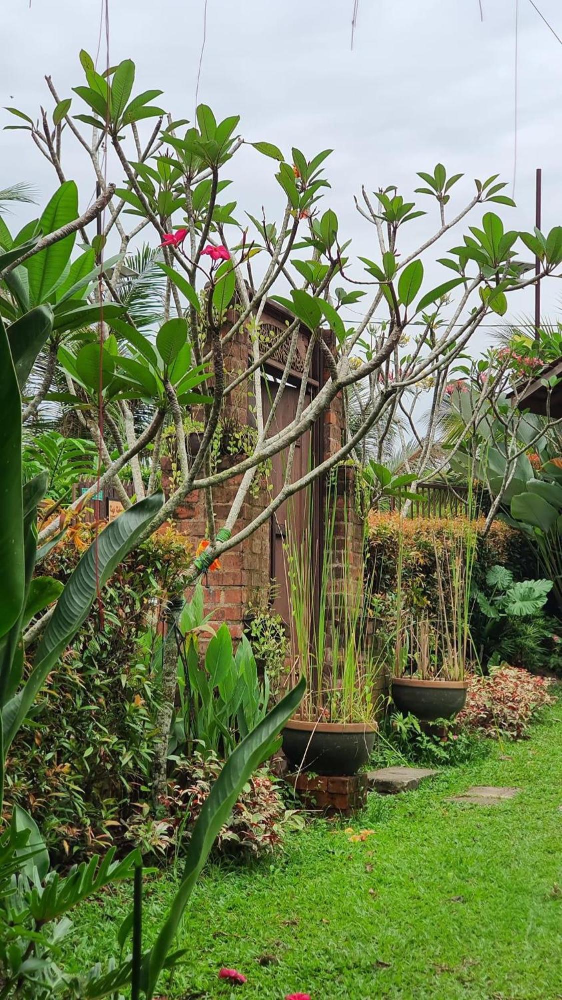 Villa Kebun Puisi Kajang Exterior foto